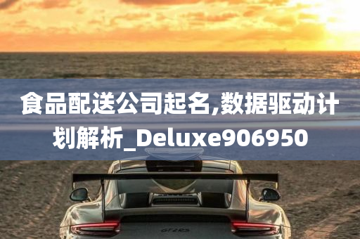 食品配送公司起名,数据驱动计划解析_Deluxe906950