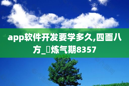 app软件开发要学多久,四面八方_‌炼气期8357