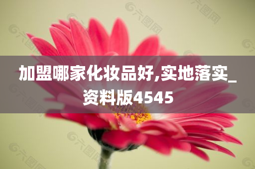 加盟哪家化妆品好,实地落实_资料版4545