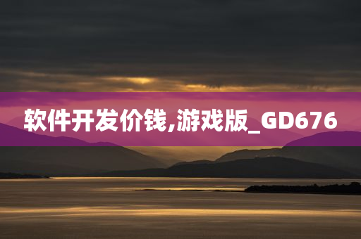 软件开发价钱,游戏版_GD676