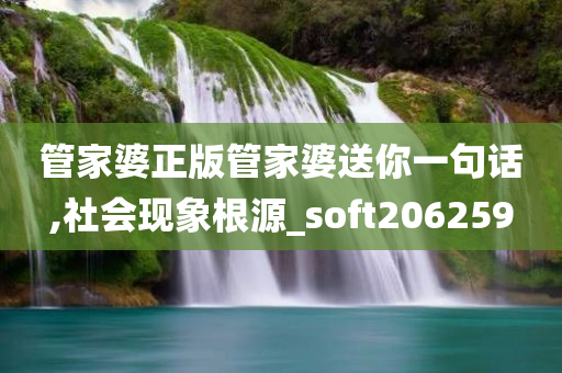 管家婆正版管家婆送你一句话,社会现象根源_soft206259