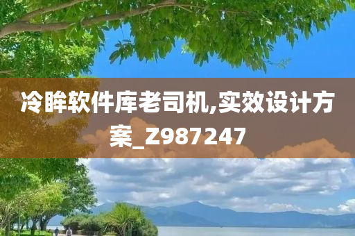 冷眸软件库老司机,实效设计方案_Z987247