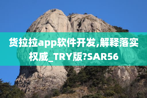 货拉拉app软件开发,解释落实权威_TRY版?SAR56