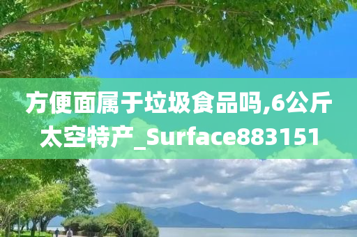 方便面属于垃圾食品吗,6公斤太空特产_Surface883151