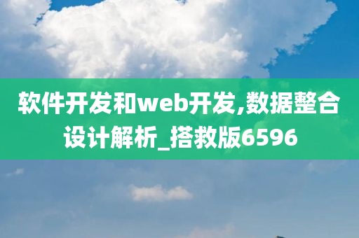 软件开发和web开发,数据整合设计解析_搭救版6596