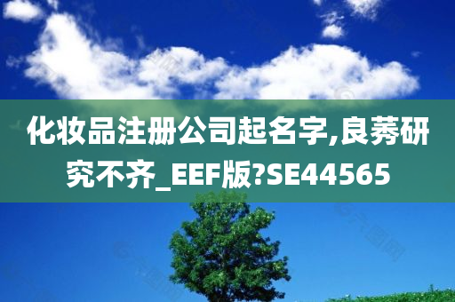 化妆品注册公司起名字,良莠研究不齐_EEF版?SE44565