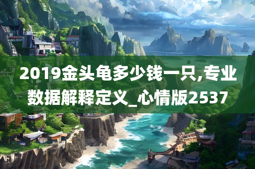 2019金头龟多少钱一只,专业数据解释定义_心情版2537