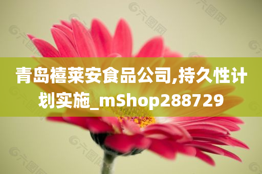 青岛禧莱安食品公司,持久性计划实施_mShop288729