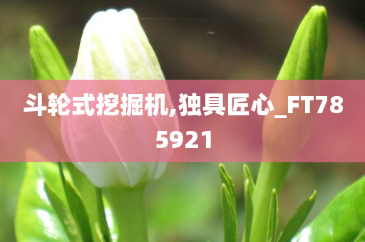 斗轮式挖掘机,独具匠心_FT785921