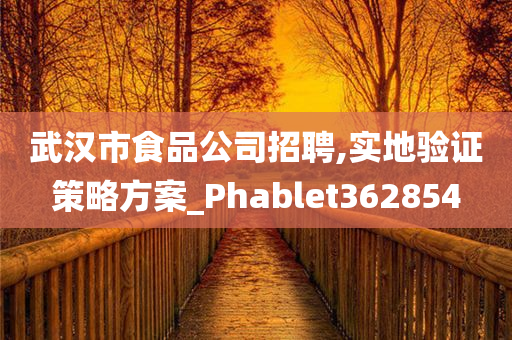 武汉市食品公司招聘,实地验证策略方案_Phablet362854