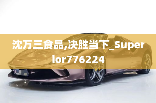 沈万三食品,决胜当下_Superior776224