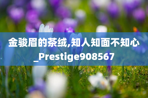 金骏眉的茶绒,知人知面不知心_Prestige908567