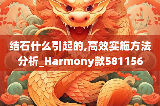 结石什么引起的,高效实施方法分析_Harmony款581156