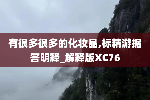 有很多很多的化妆品,标精游据答明释_解释版XC76