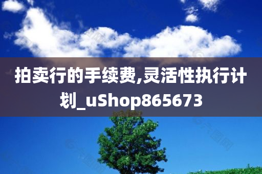 拍卖行的手续费,灵活性执行计划_uShop865673