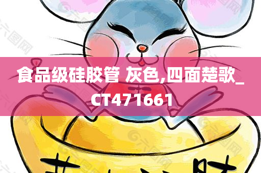 食品级硅胶管 灰色,四面楚歌_CT471661