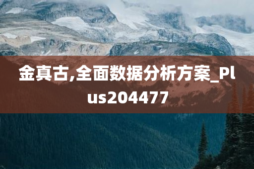 金真古,全面数据分析方案_Plus204477