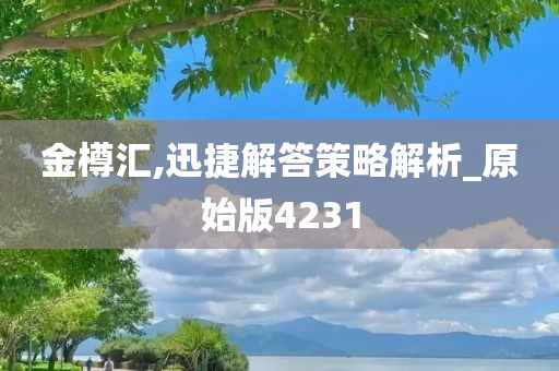 金樽汇,迅捷解答策略解析_原始版4231