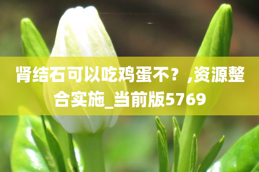 肾结石可以吃鸡蛋不？,资源整合实施_当前版5769