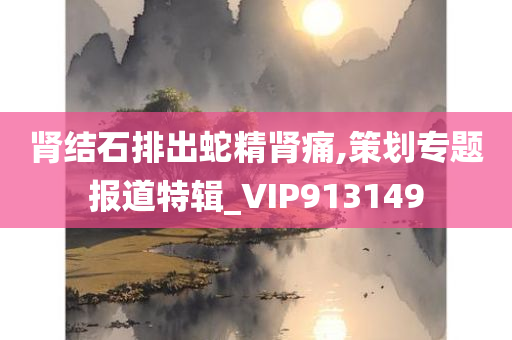 肾结石排出蛇精肾痛,策划专题报道特辑_VIP913149