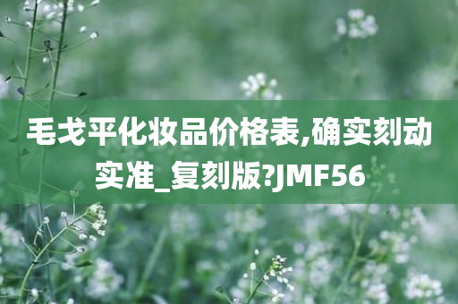 毛戈平化妆品价格表,确实刻动实准_复刻版?JMF56