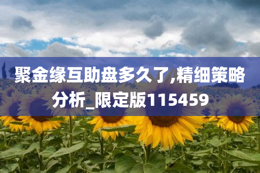 聚金缘互助盘多久了,精细策略分析_限定版115459