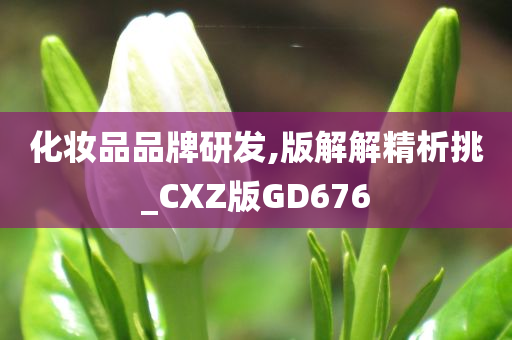 化妆品品牌研发,版解解精析挑_CXZ版GD676