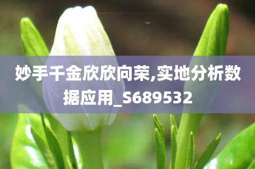 妙手千金欣欣向荣,实地分析数据应用_S689532