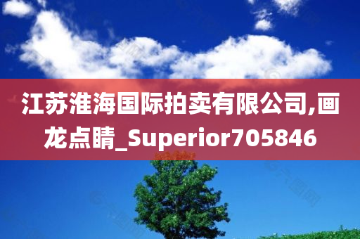 江苏淮海国际拍卖有限公司,画龙点睛_Superior705846