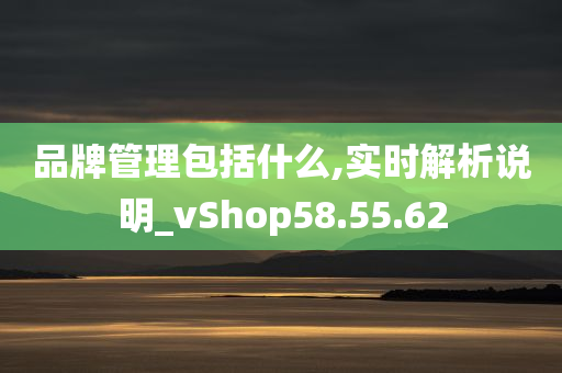 品牌管理包括什么,实时解析说明_vShop58.55.62