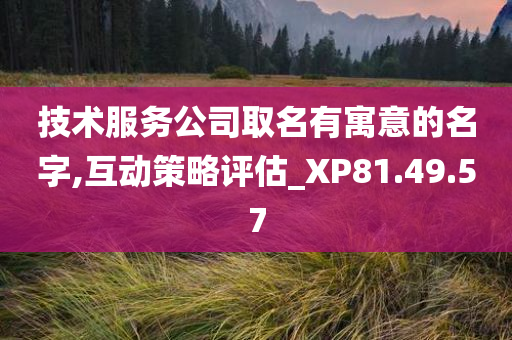 技术服务公司取名有寓意的名字,互动策略评估_XP81.49.57