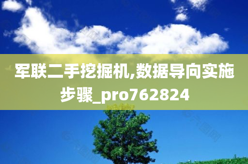 军联二手挖掘机,数据导向实施步骤_pro762824