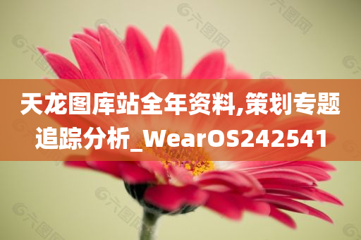 天龙图库站全年资料,策划专题追踪分析_WearOS242541