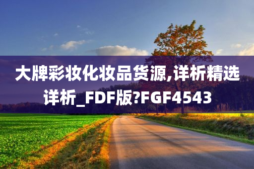 大牌彩妆化妆品货源,详析精选详析_FDF版?FGF4543