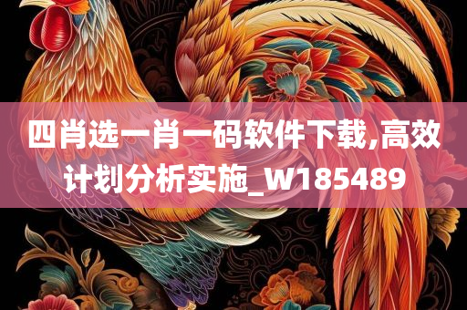 四肖选一肖一码软件下载,高效计划分析实施_W185489