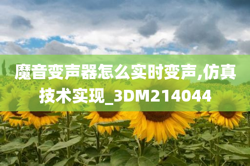 魔音变声器怎么实时变声,仿真技术实现_3DM214044