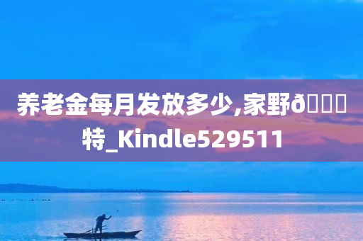 养老金每月发放多少,家野🀄特_Kindle529511