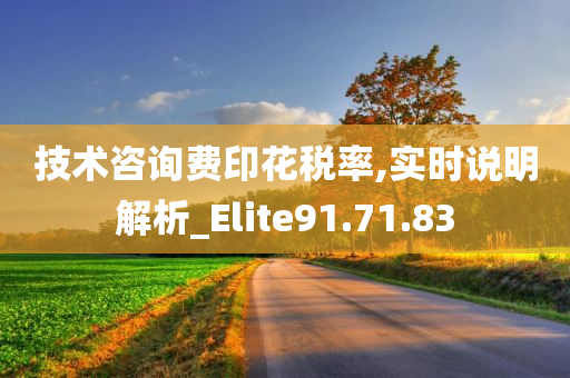 技术咨询费印花税率,实时说明解析_Elite91.71.83