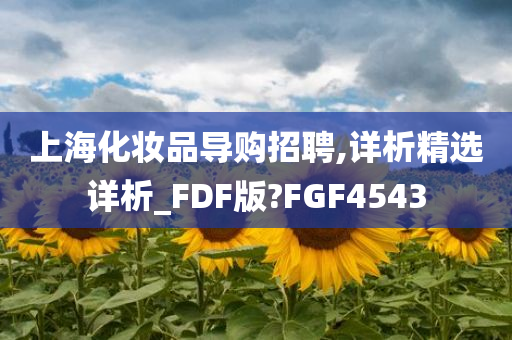 上海化妆品导购招聘,详析精选详析_FDF版?FGF4543