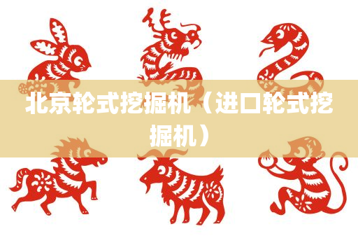 北京轮式挖掘机（进口轮式挖掘机）