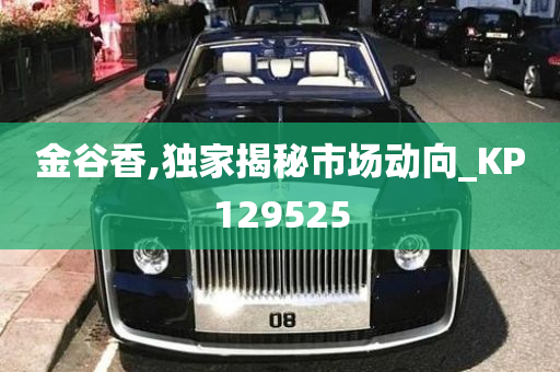 金谷香,独家揭秘市场动向_KP129525