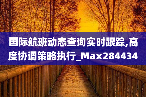 国际航班动态查询实时跟踪,高度协调策略执行_Max284434