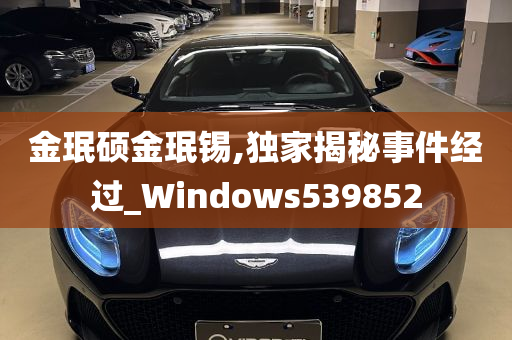 金珉硕金珉锡,独家揭秘事件经过_Windows539852