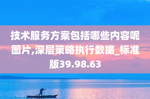 技术服务方案包括哪些内容呢图片,深层策略执行数据_标准版39.98.63