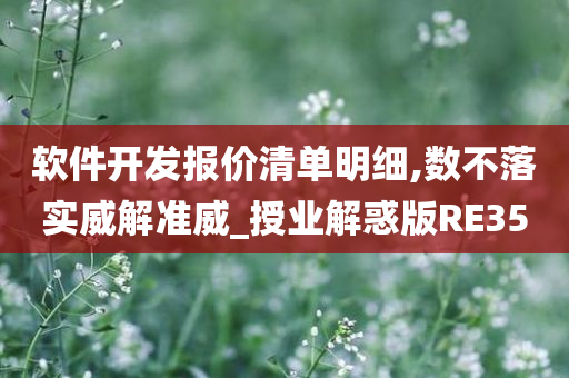 软件开发报价清单明细,数不落实威解准威_授业解惑版RE35