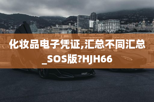 化妆品电子凭证,汇总不同汇总_SOS版?HJH66