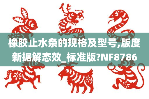 橡胶止水条的规格及型号,版度新据解态效_标准版?NF8786