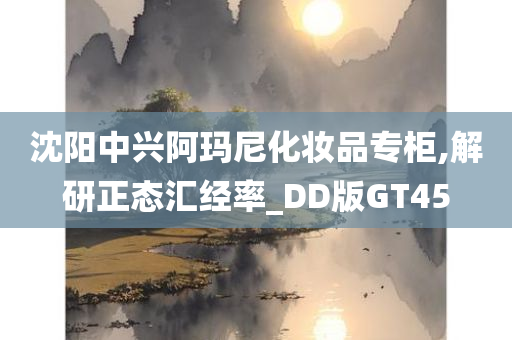 沈阳中兴阿玛尼化妆品专柜,解研正态汇经率_DD版GT45