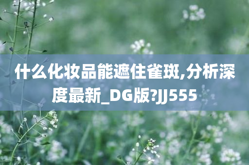 什么化妆品能遮住雀斑,分析深度最新_DG版?JJ555