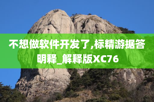 不想做软件开发了,标精游据答明释_解释版XC76